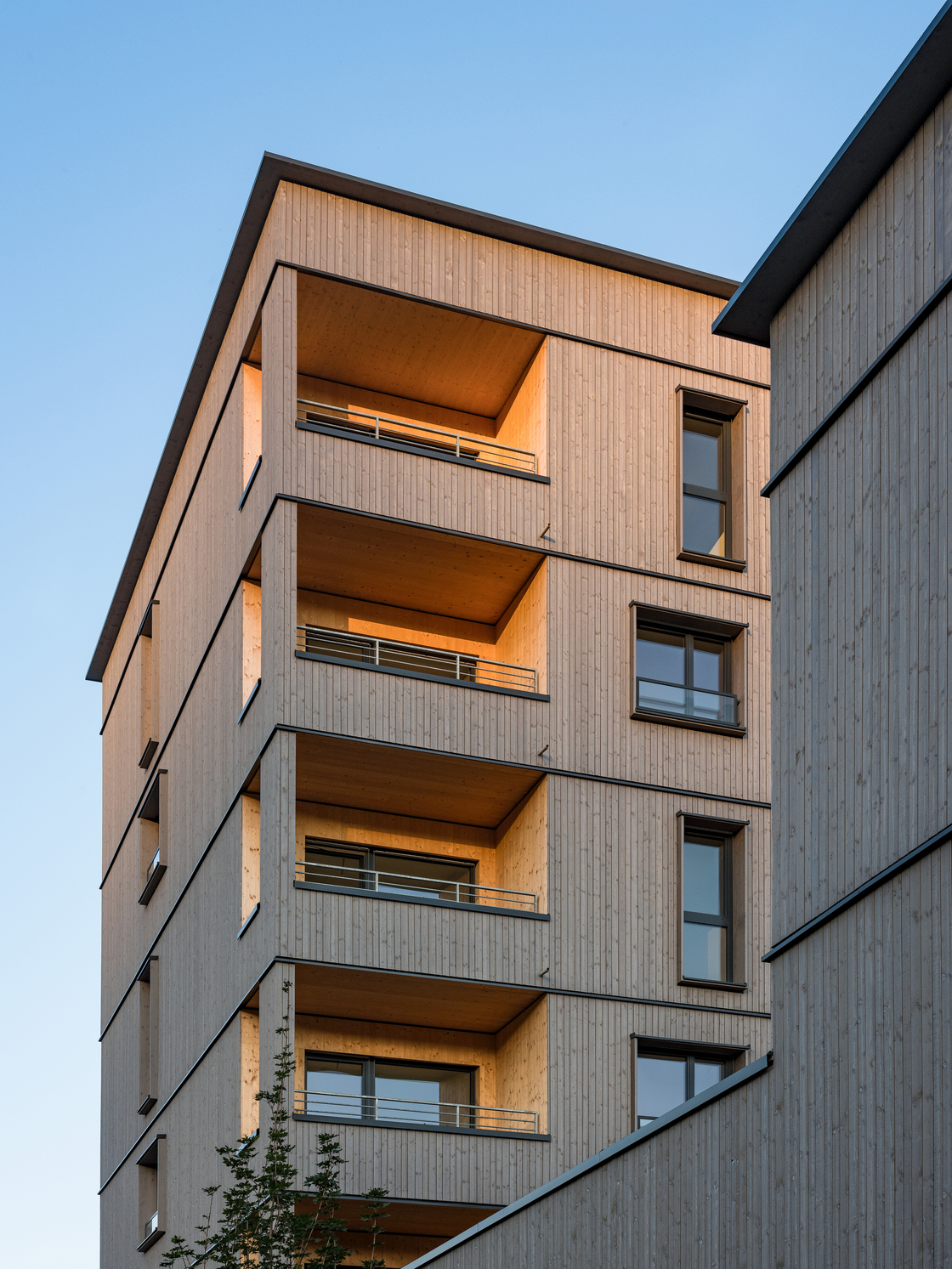 Ein Foto von pierer.net