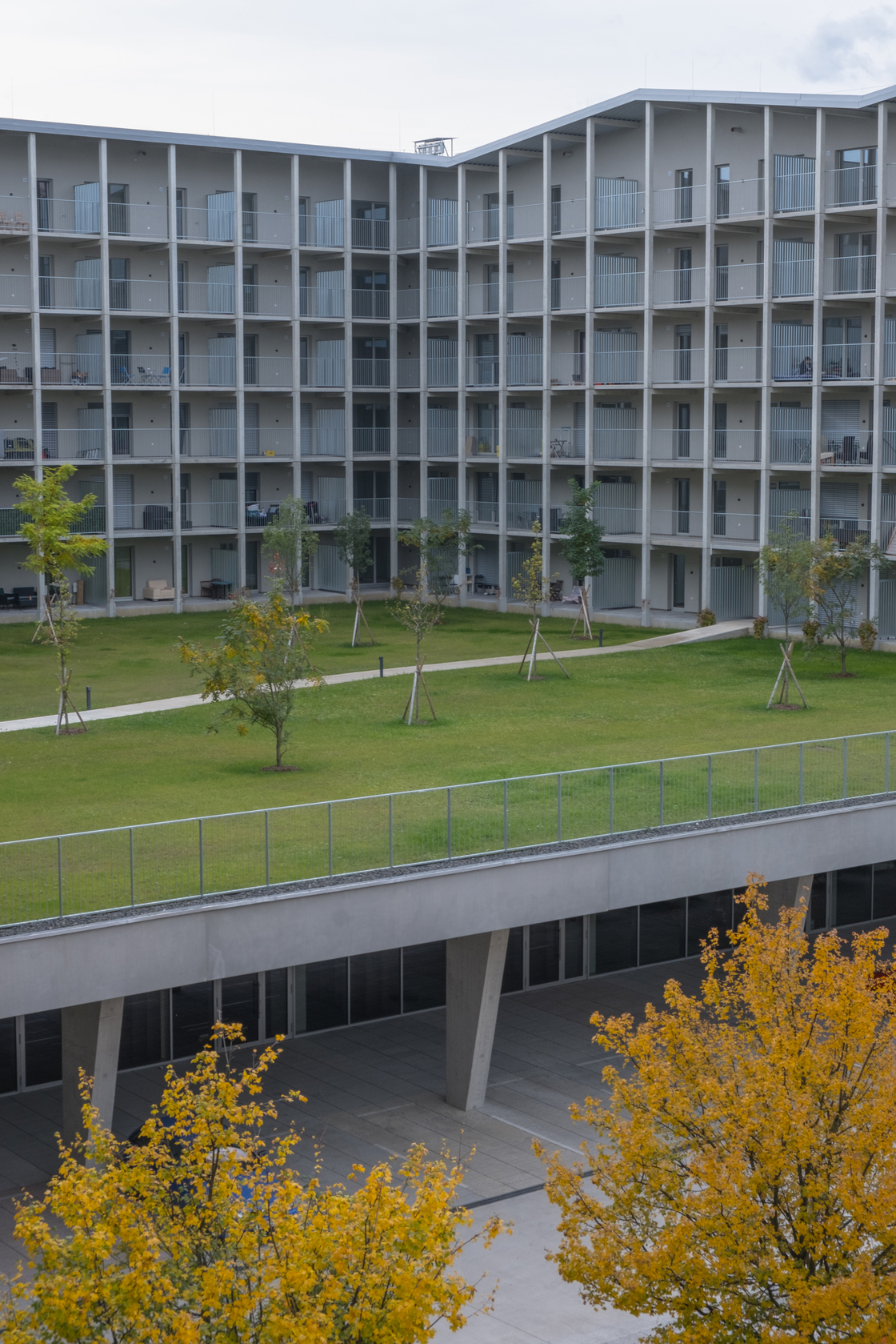 Ein Foto von Jakob Vinzenz Zöbl