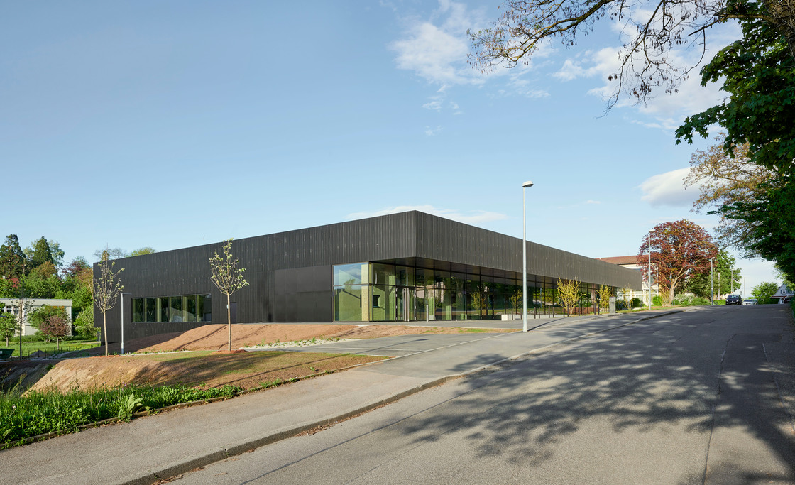 Ein Foto von David Matthiessen