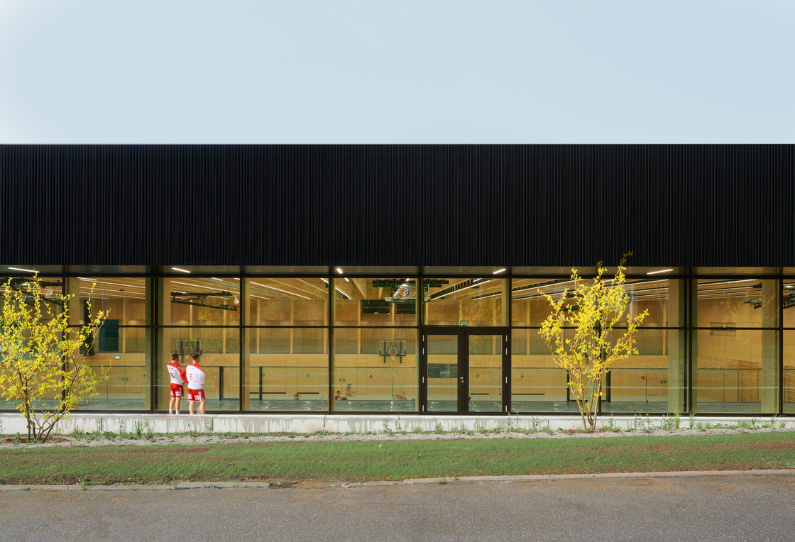 Ein Foto von David Matthiessen