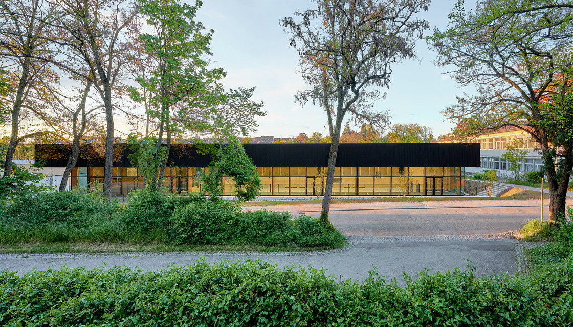 Ein Foto von David Matthiessen