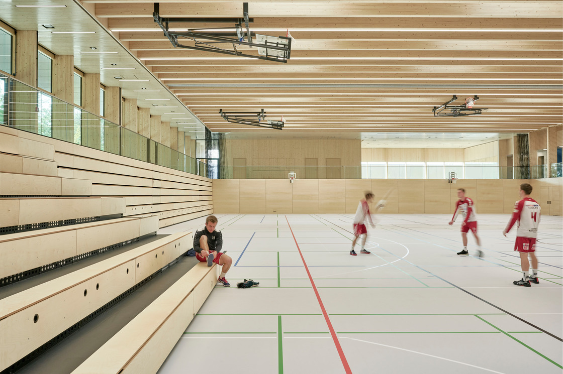 Ein Foto von David Matthiessen