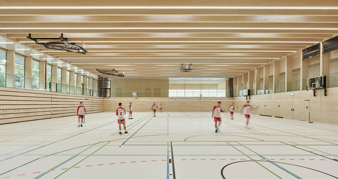 Ein Foto von David Matthiessen