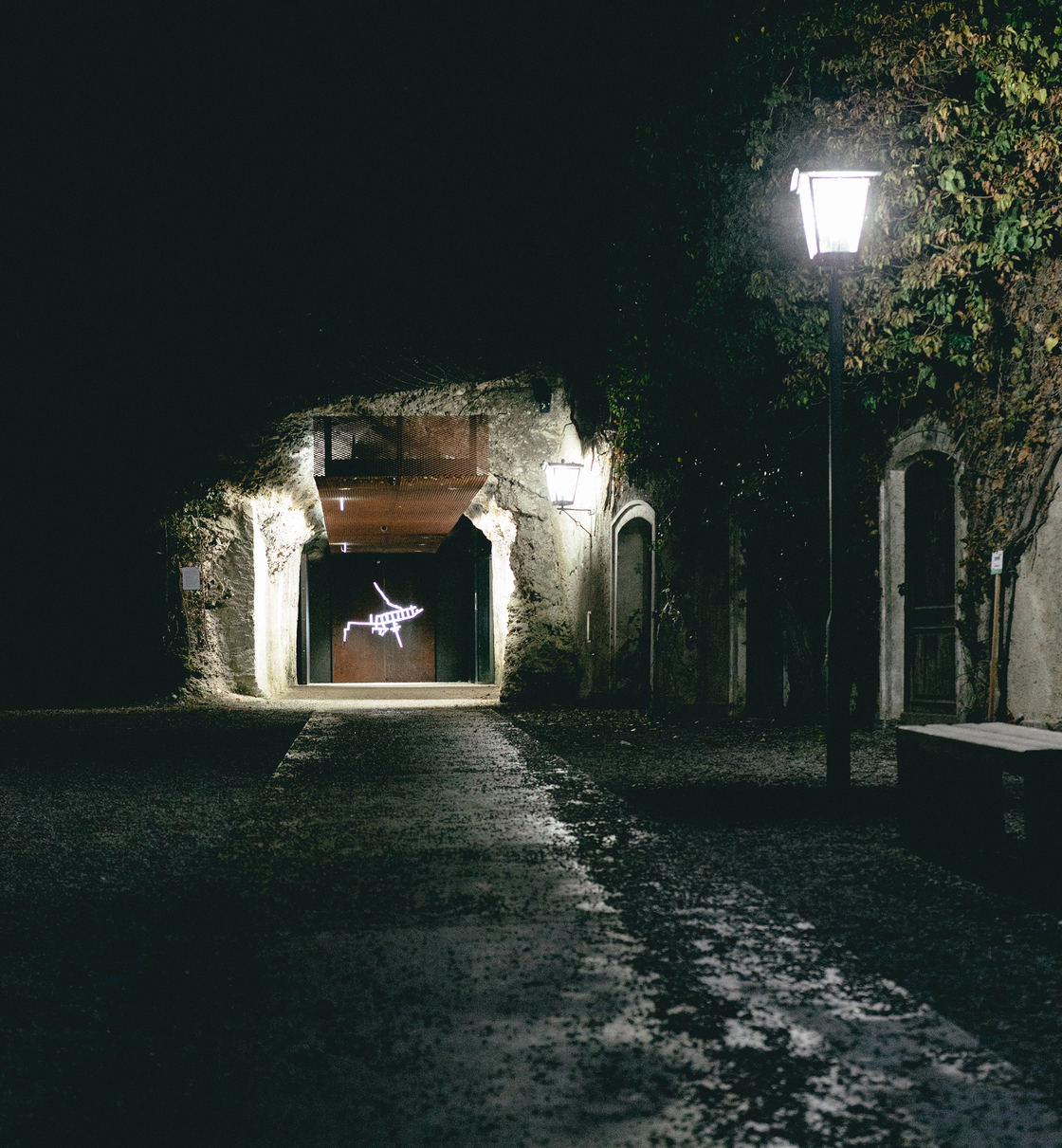 Ein Foto von Mojo Reitter