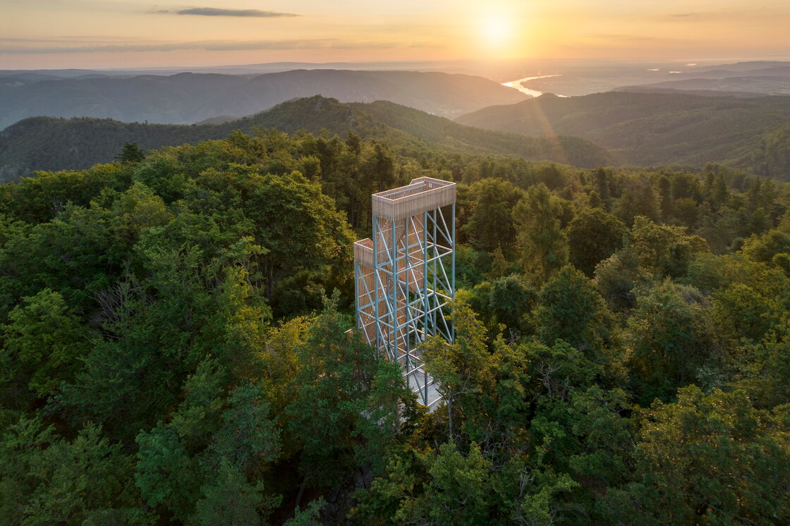 Ein Foto von Leonhard Hilzensauer