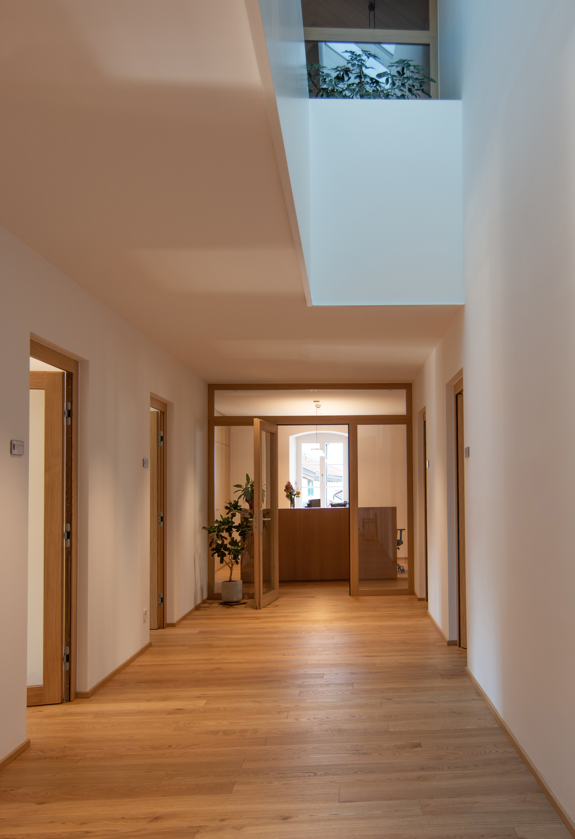 Ein Foto von Simon Schnegg