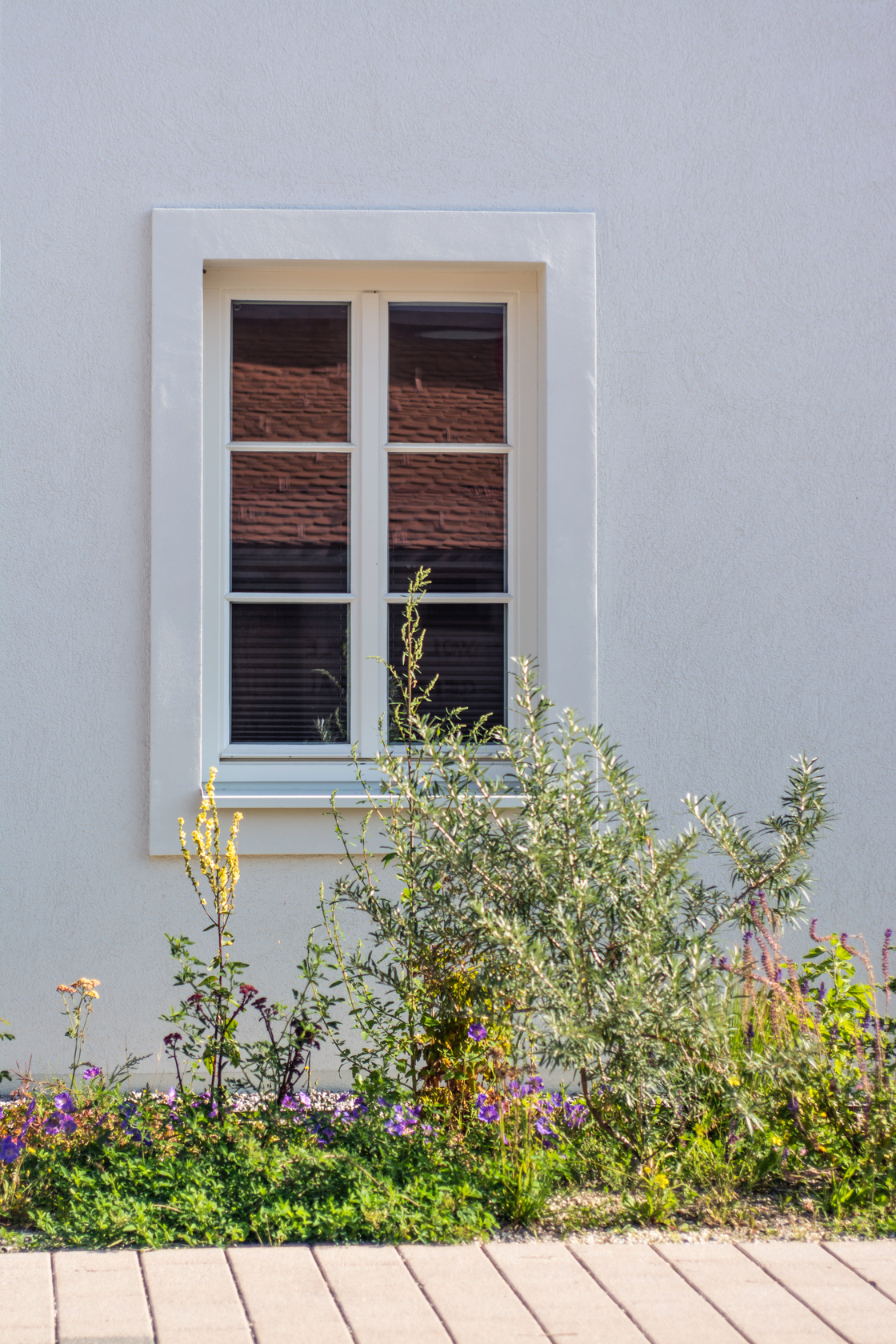 Ein Foto von Simon Schnegg