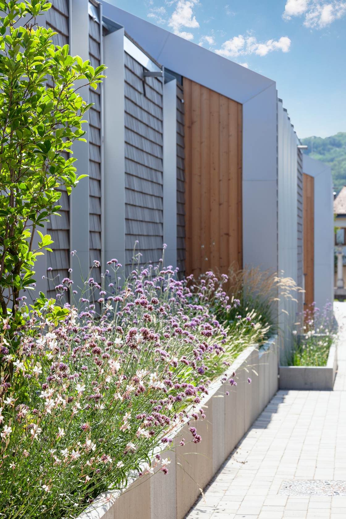 Ein Foto von Romana Fürnkranz