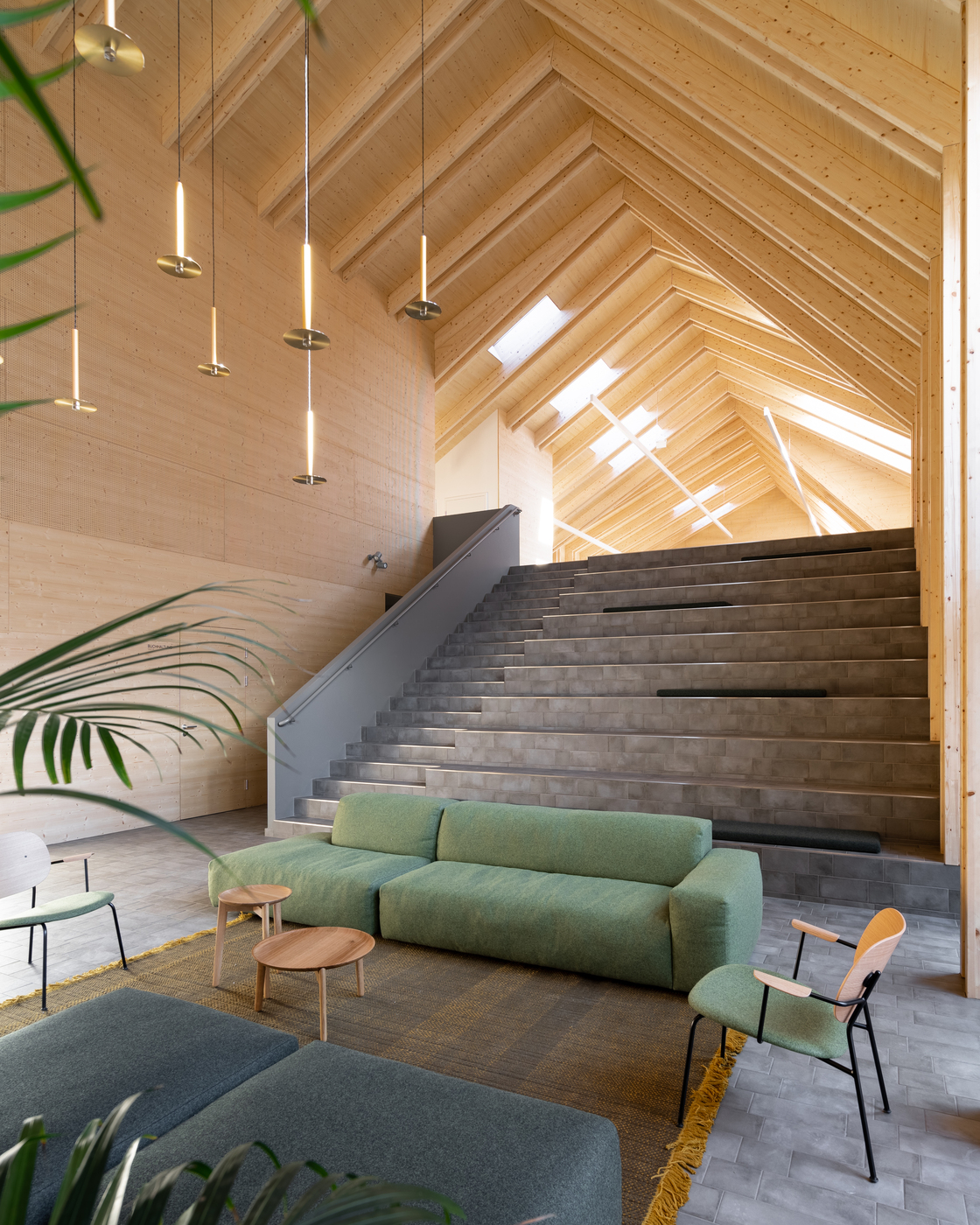 Ein Foto von Dimitar Gamizov