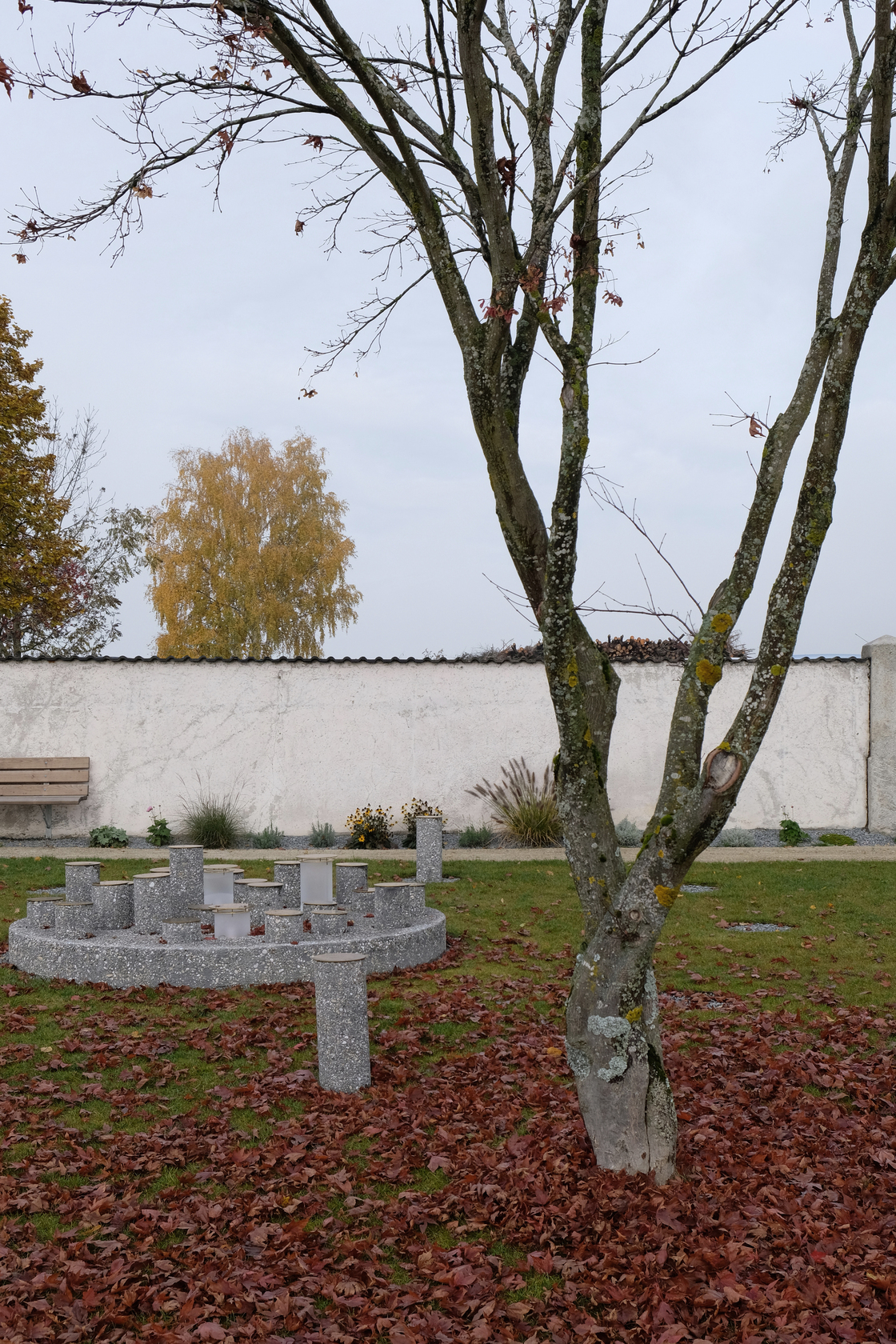 Ein Foto von Tobias Hagleitner