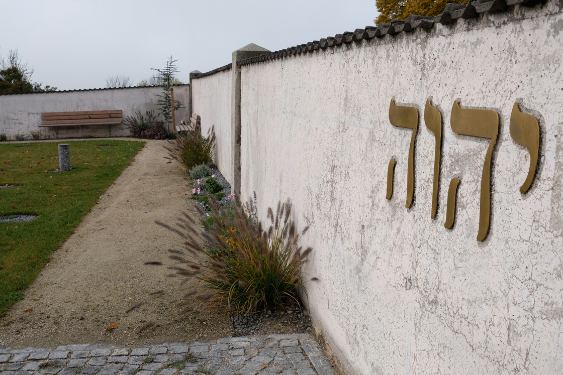 Ein Foto von Tobias Hagleitner