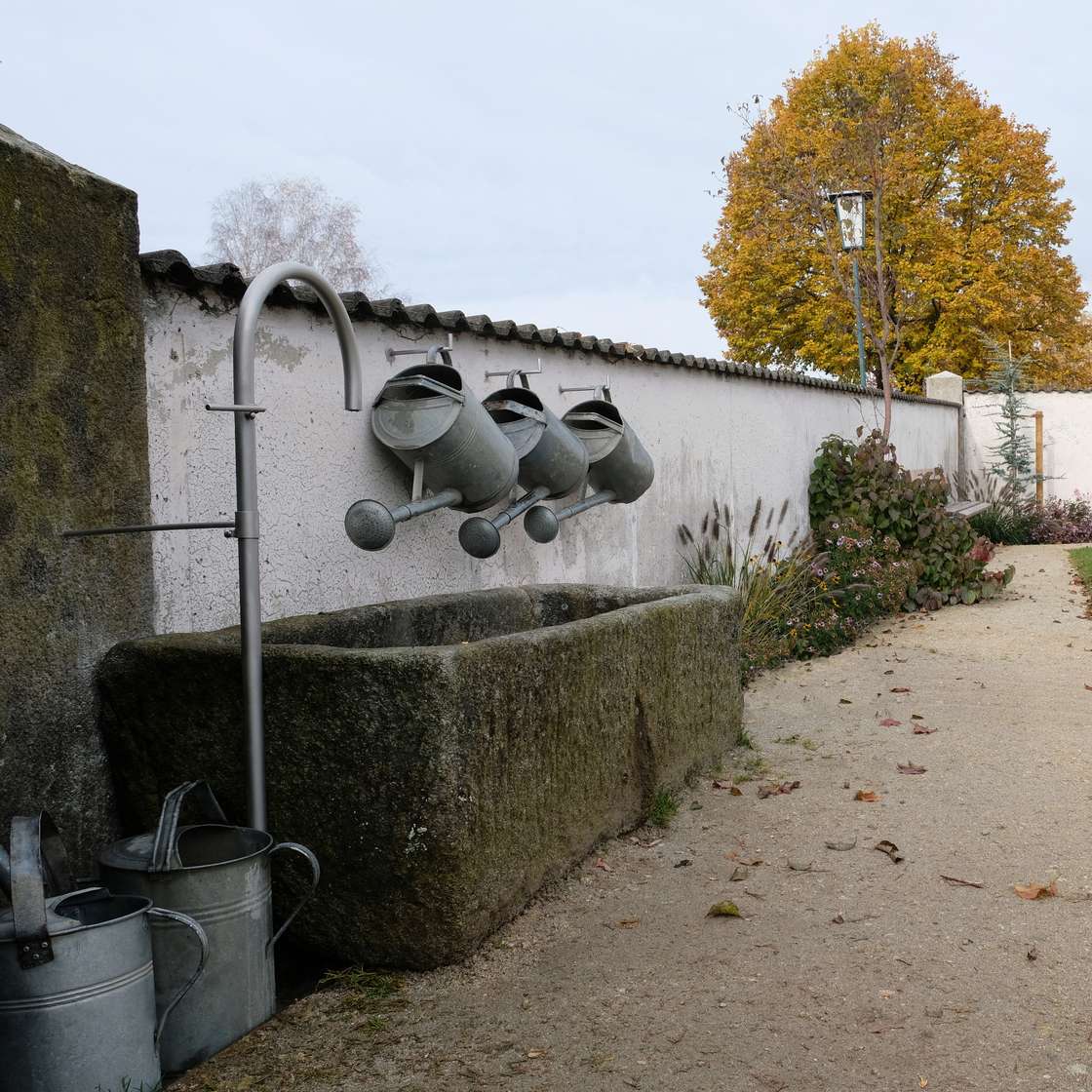 Ein Foto von Tobias Hagleitner