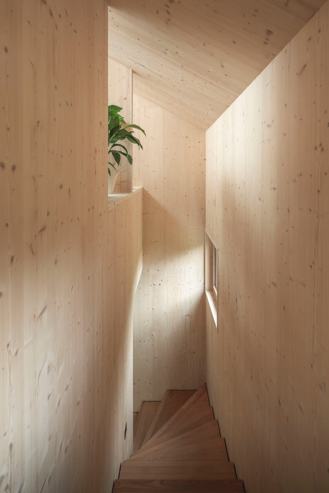 Ein Foto von Paul Meyer