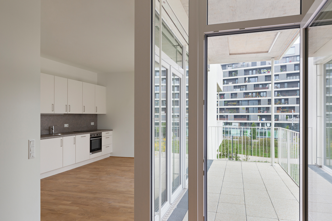 Ein Foto von Paul Sebesta