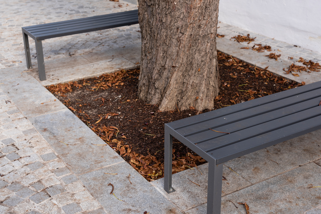 Ein Foto von Rainer Schoditsch