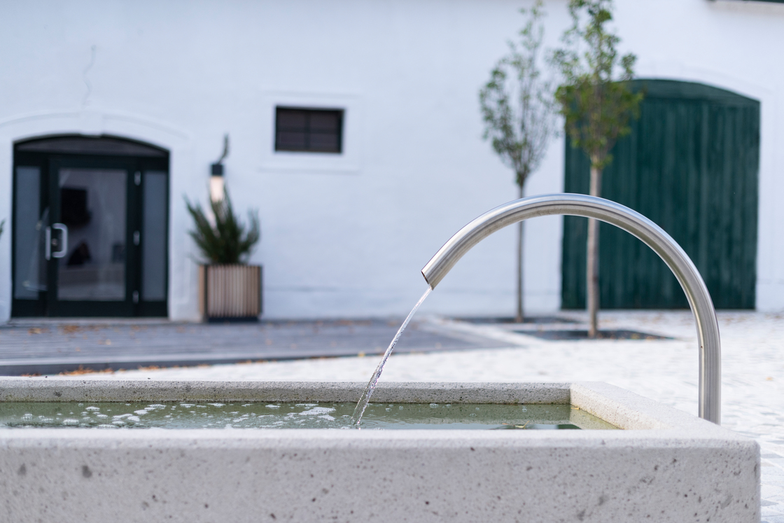 Ein Foto von Rainer Schoditsch