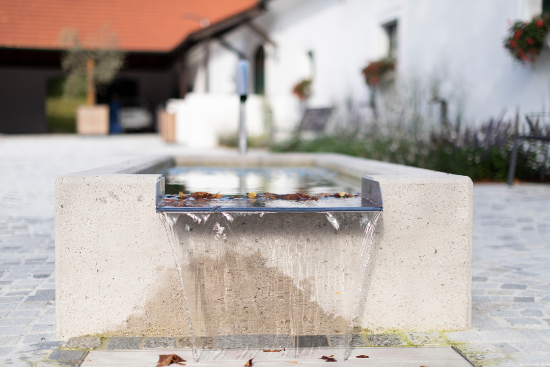 Ein Foto von Rainer Schoditsch