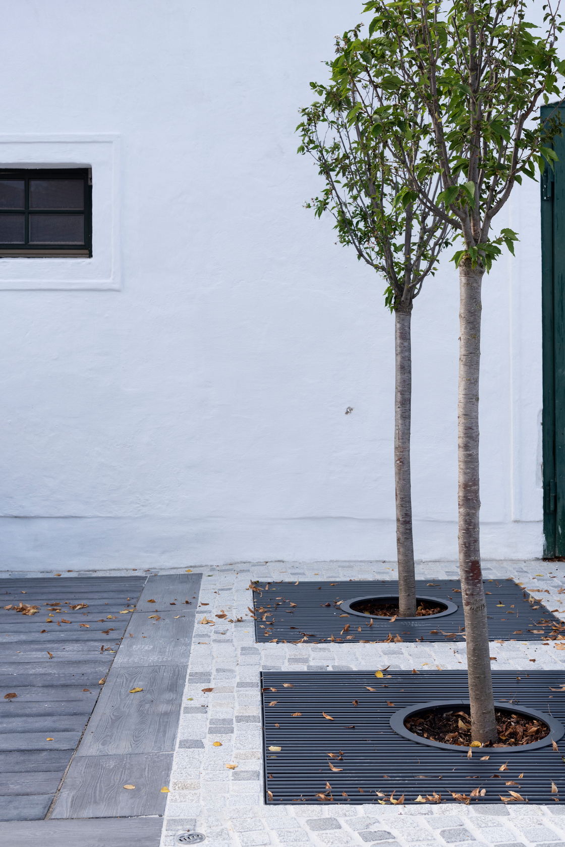 Ein Foto von Rainer Schoditsch