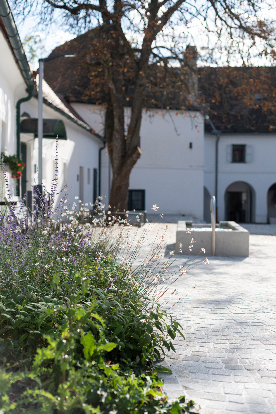 Ein Foto von Rainer Schoditsch