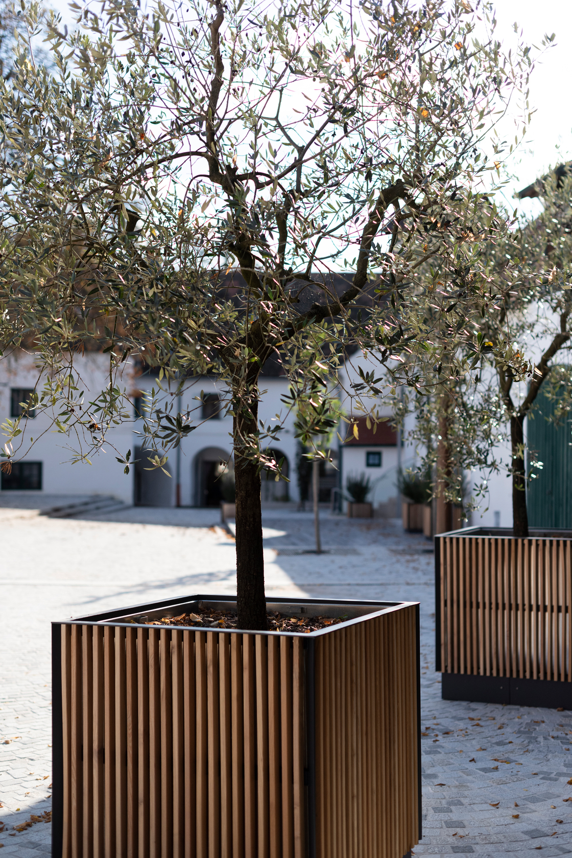 Ein Foto von Rainer Schoditsch