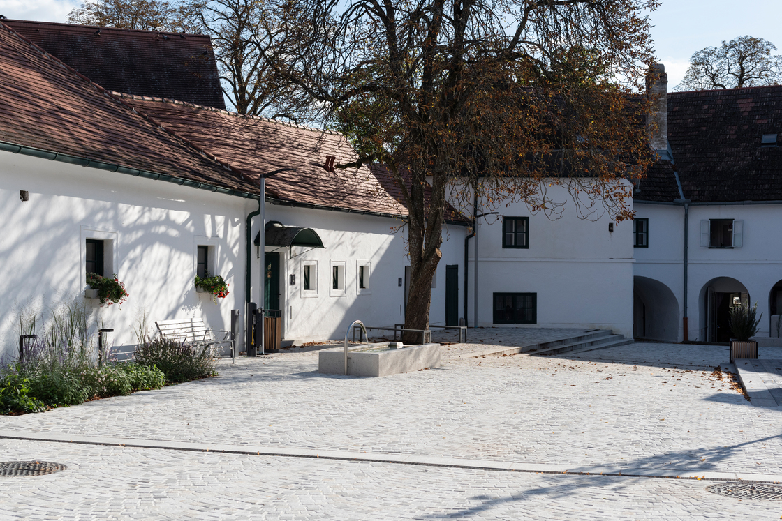 Ein Foto von Rainer Schoditsch