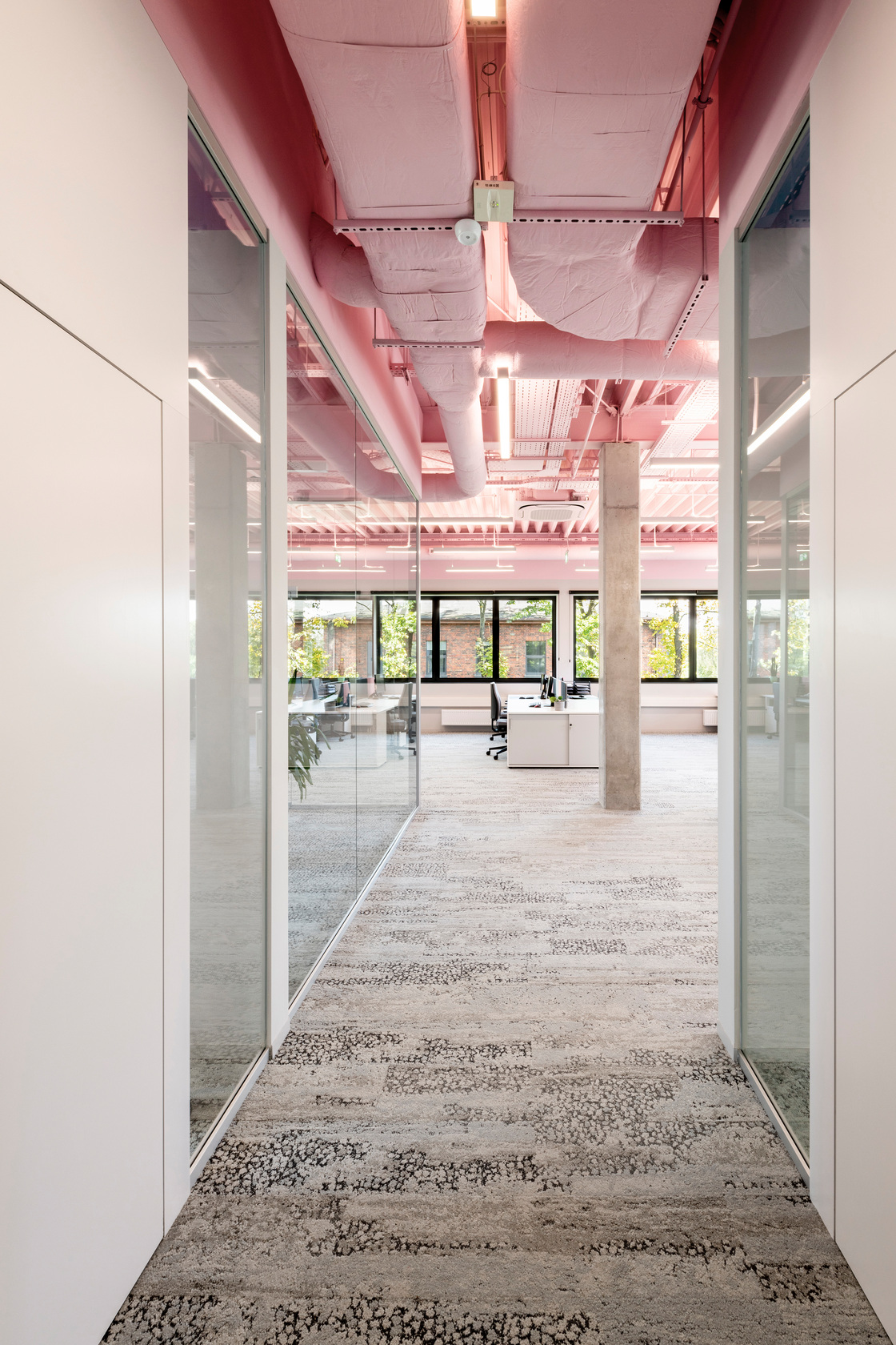 Ein Foto von Maciej Niesłony