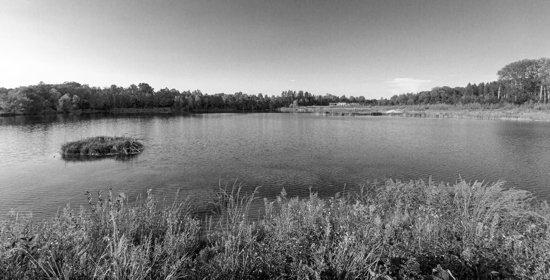 Ein Foto von Michael Zaic