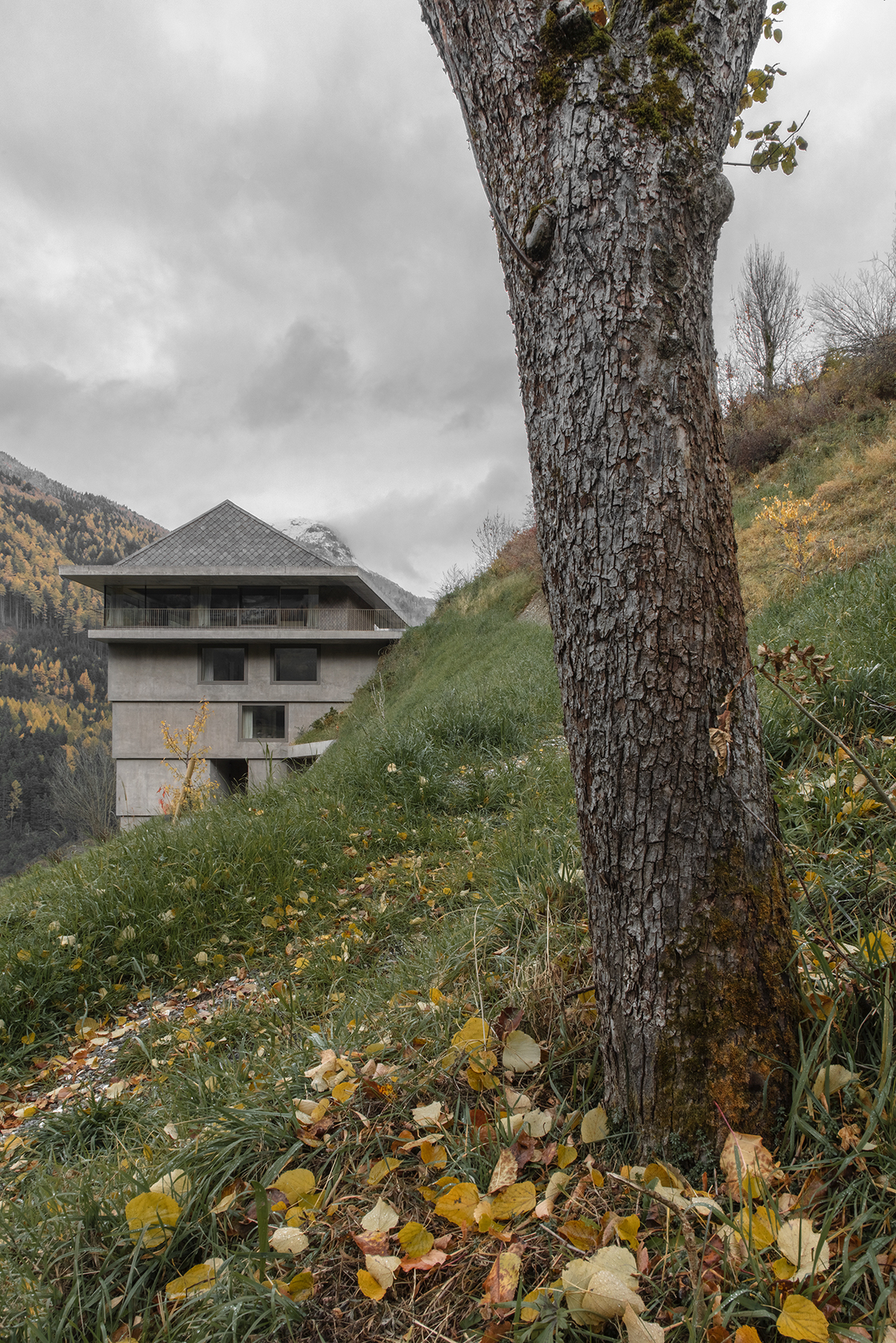 Ein Foto von Gustav Willeit