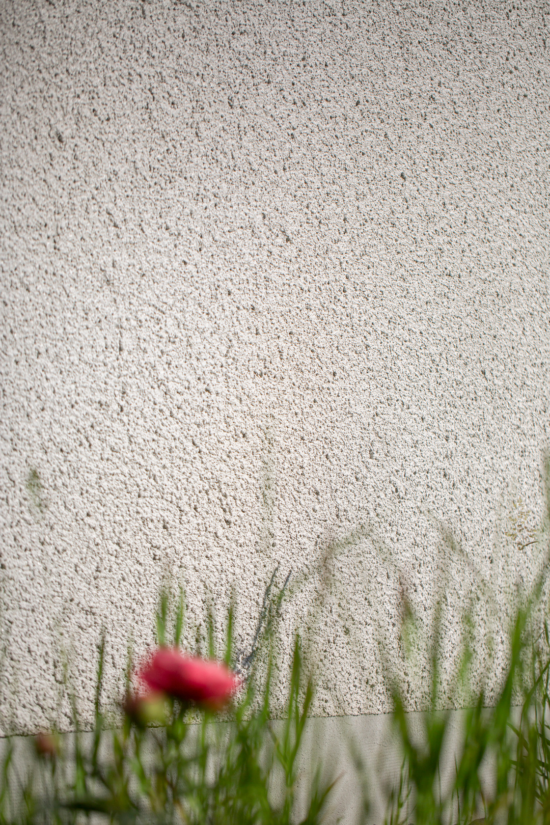 Ein Foto von Petra Rainer