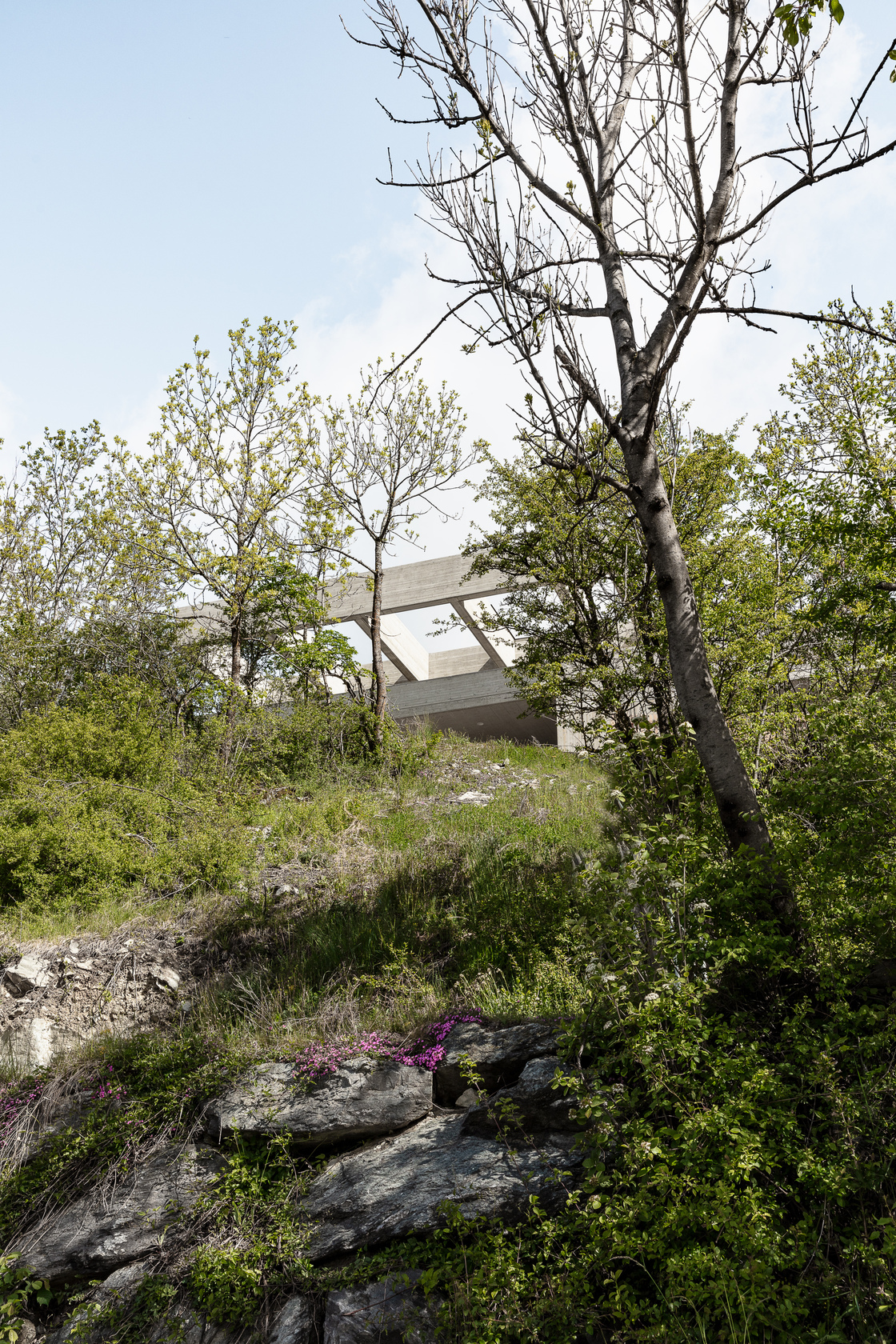 Ein Foto von tschinkersten