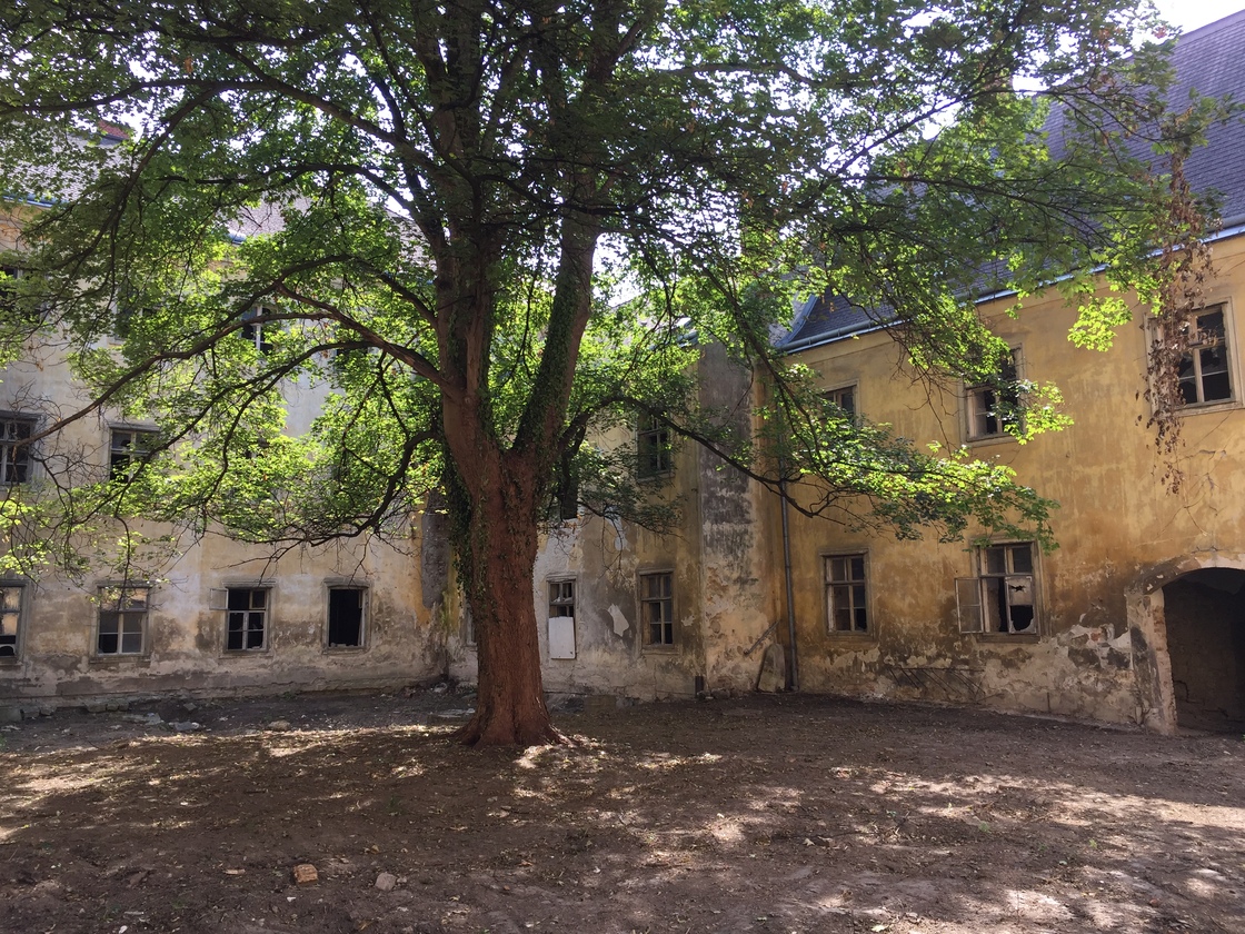Ein Foto von Gemeinnützige Wohnungsgesellschaft „Arthur Krupp“ Ges.m.b.H.