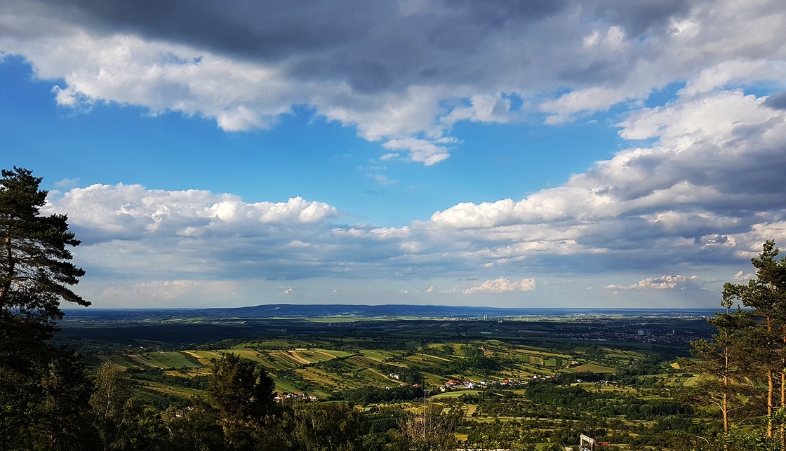 Ein Foto von Nathan Murrell