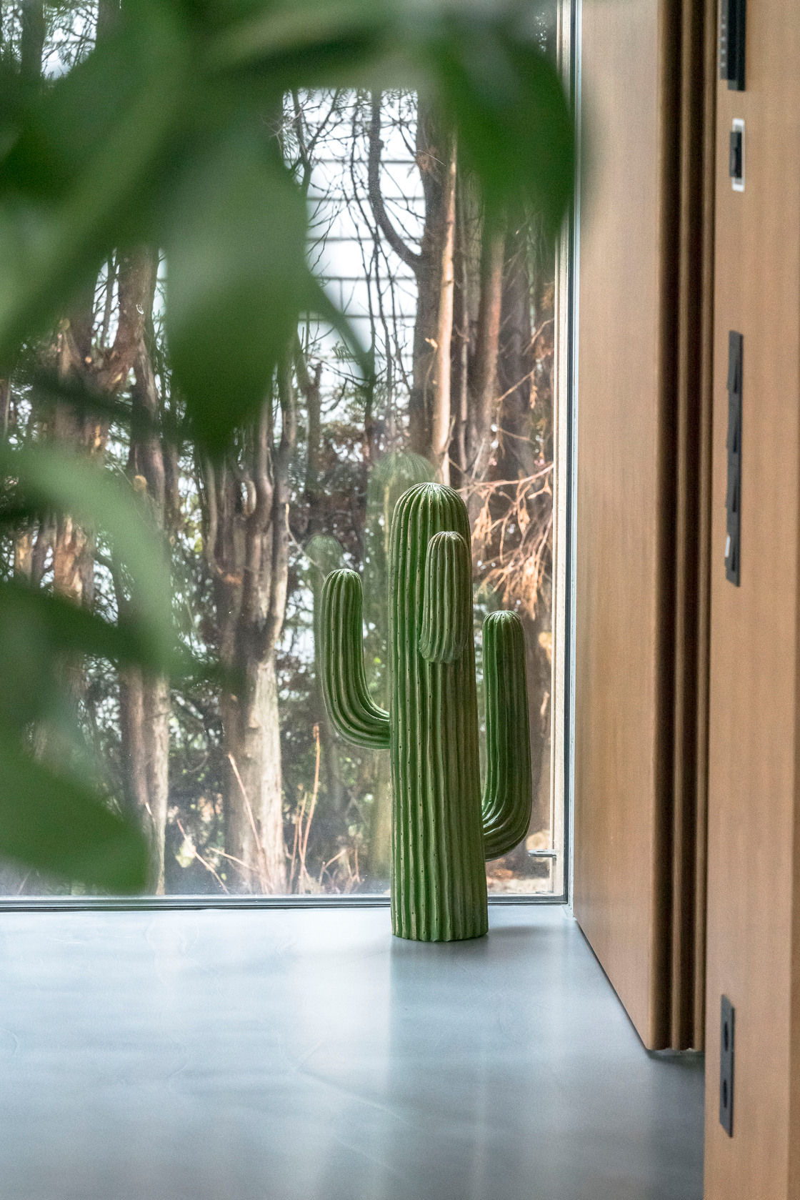 Ein Foto von Sara Sera