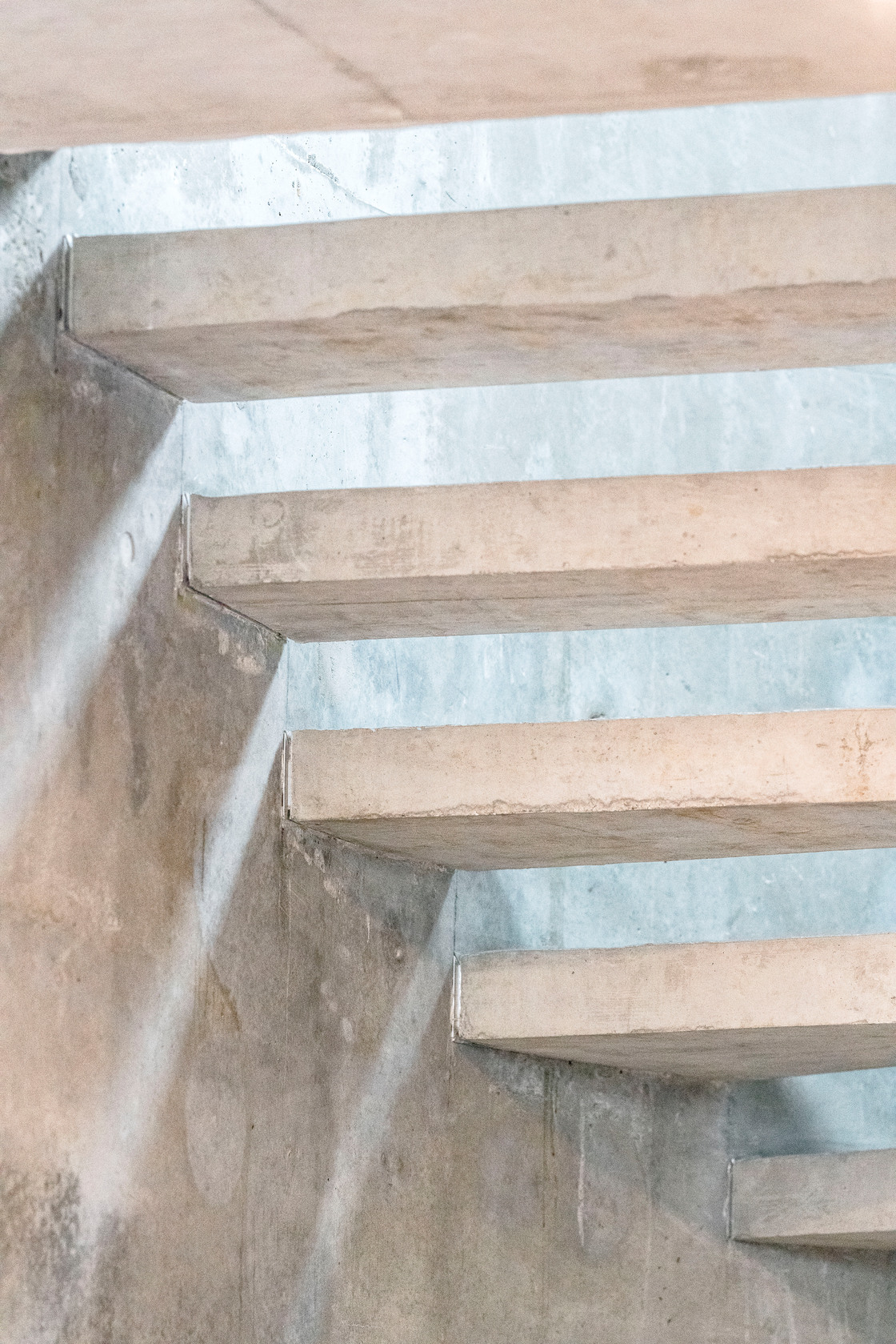 Ein Foto von Sara Sera