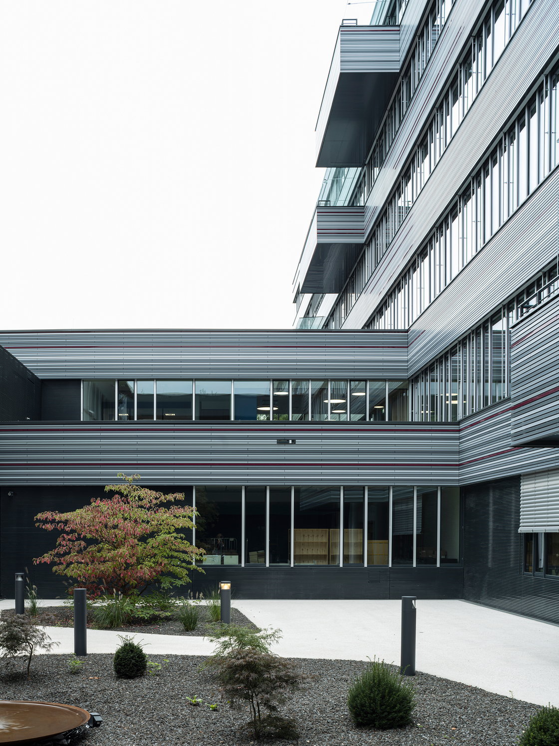 Ein Foto von Dietmar Tollerian