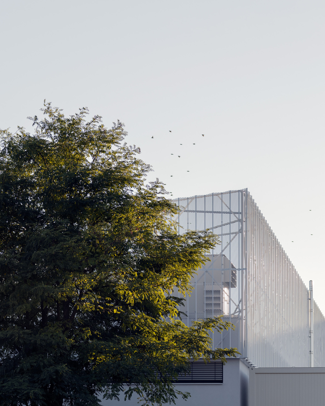 Ein Foto von Simon Oberhofer