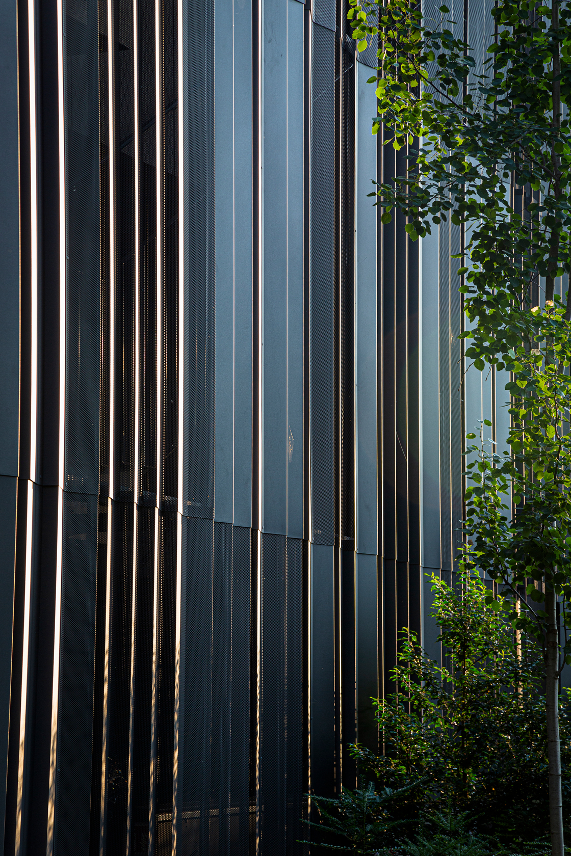 Ein Foto von Jessica Alice Hath