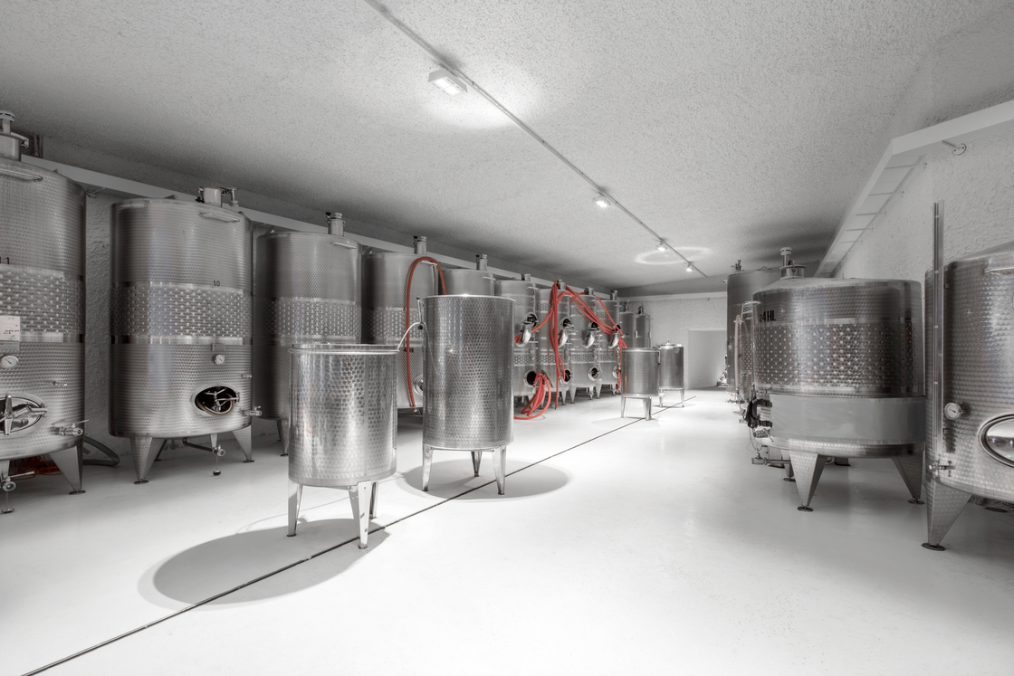 Ein Foto von Gustav Willeit