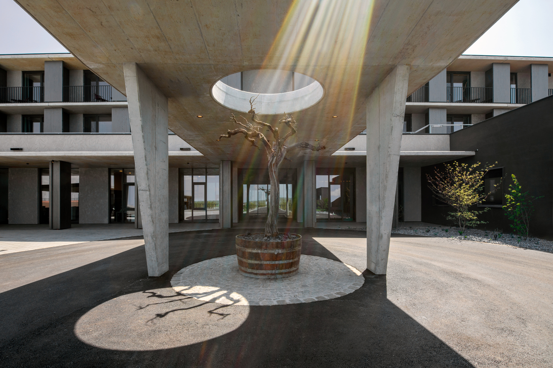 Ein Foto von Monika Nguyen