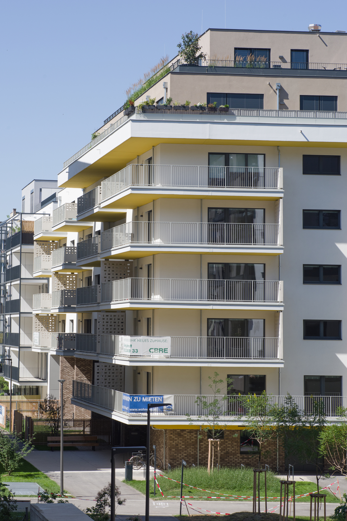 Ein Foto von Andrea Ehrenreich