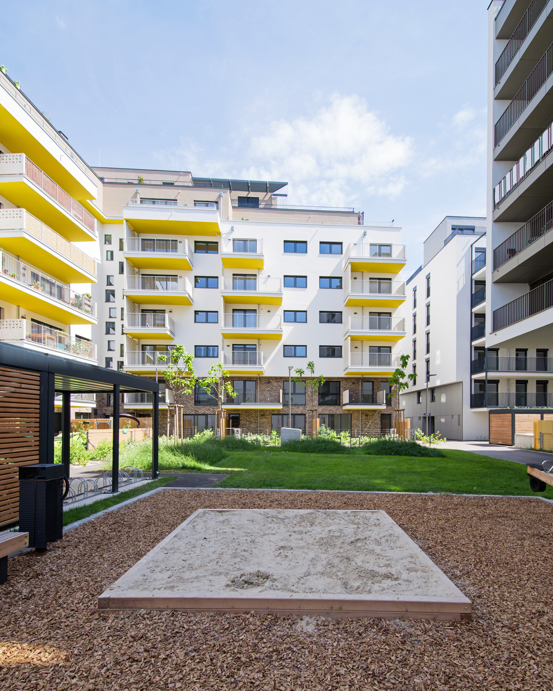 Ein Foto von Andrea Ehrenreich