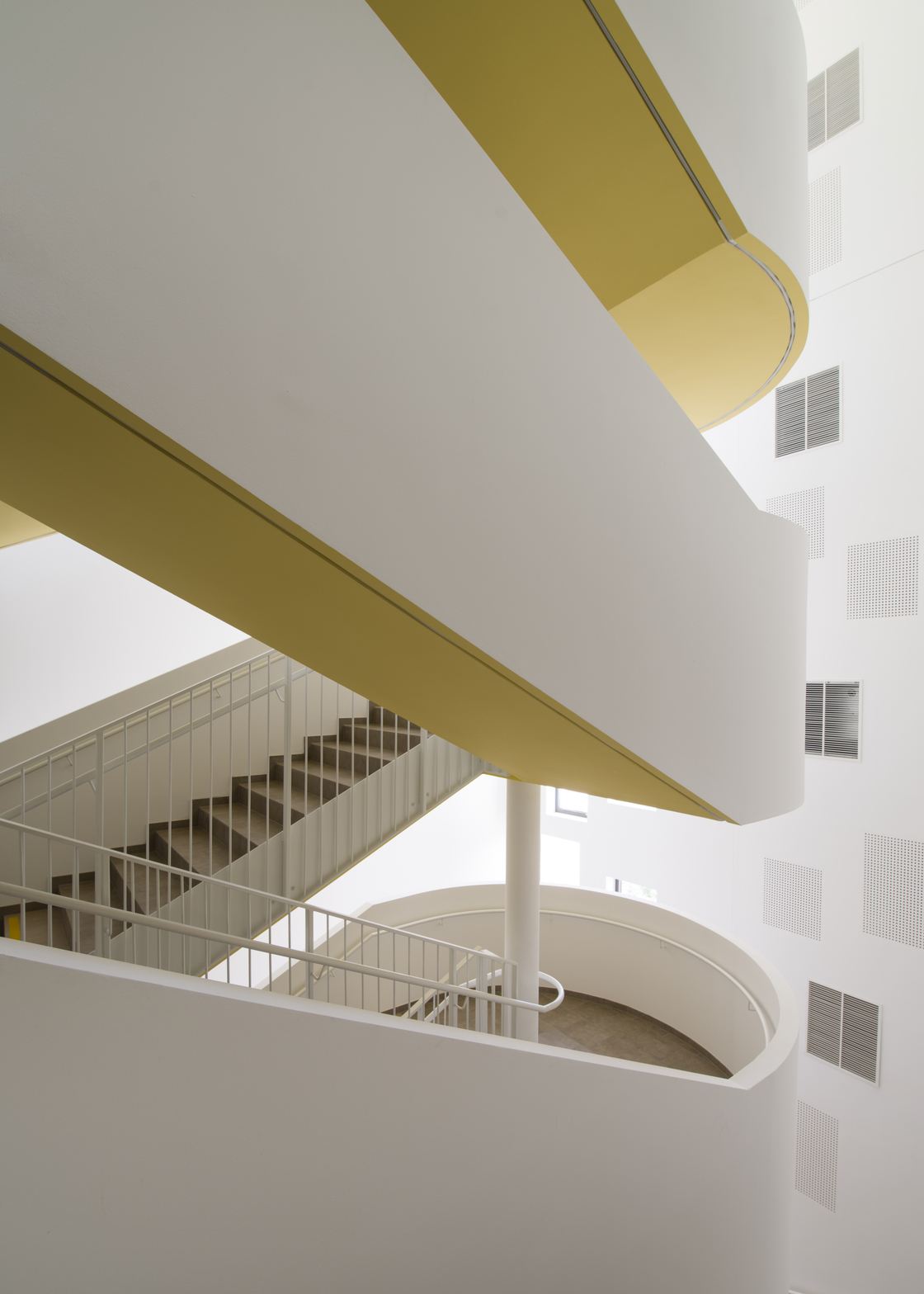 Ein Foto von Andrea Ehrenreich