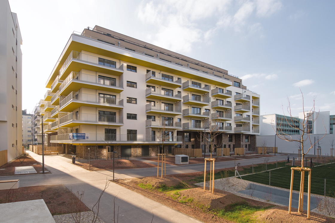 Ein Foto von Andrea Ehrenreich