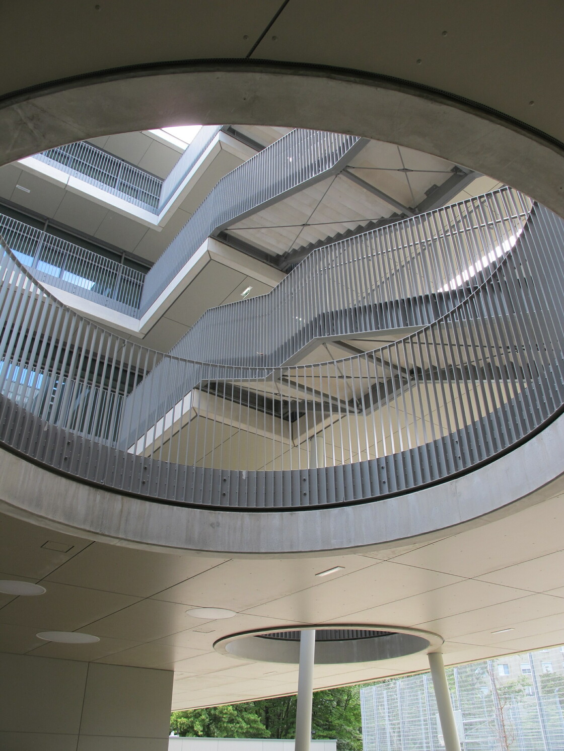 Ein Foto von Patricia Zacek-Stadler