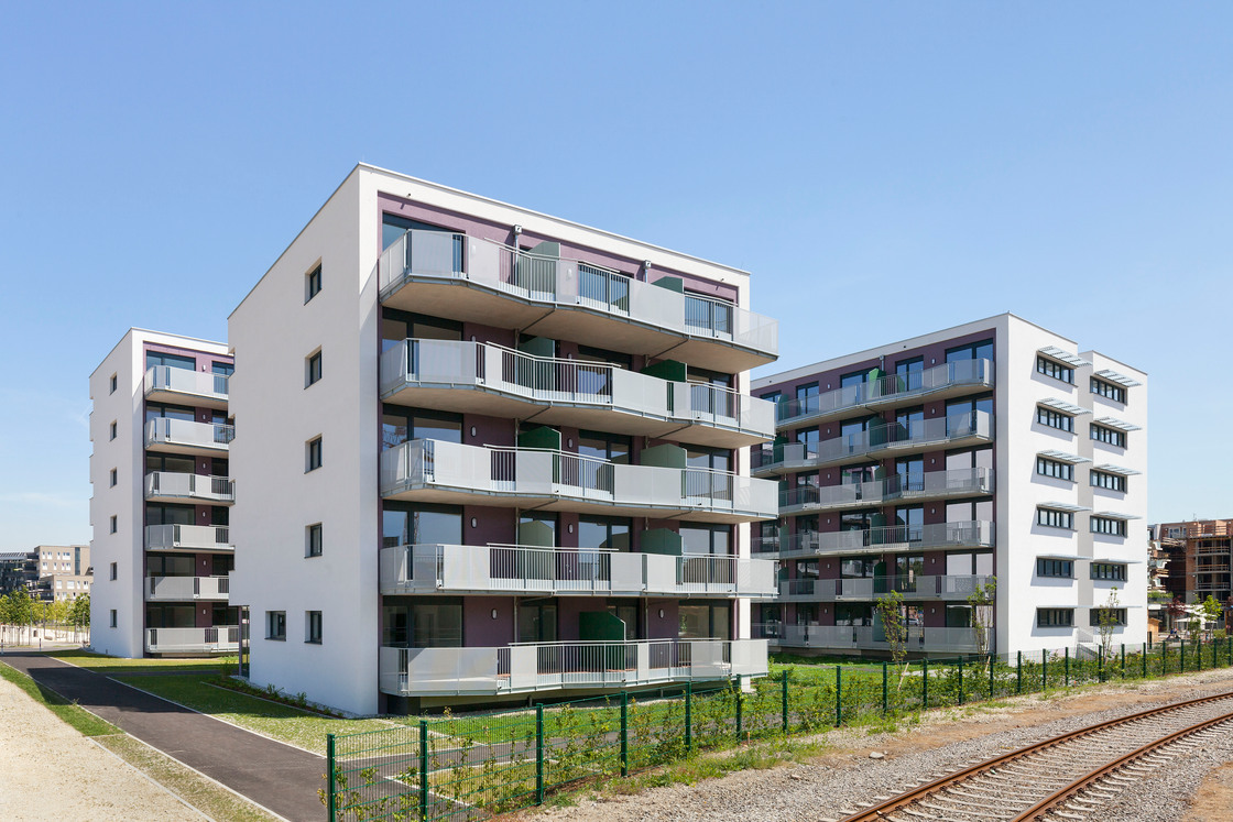 Ein Foto von Rupert Steiner