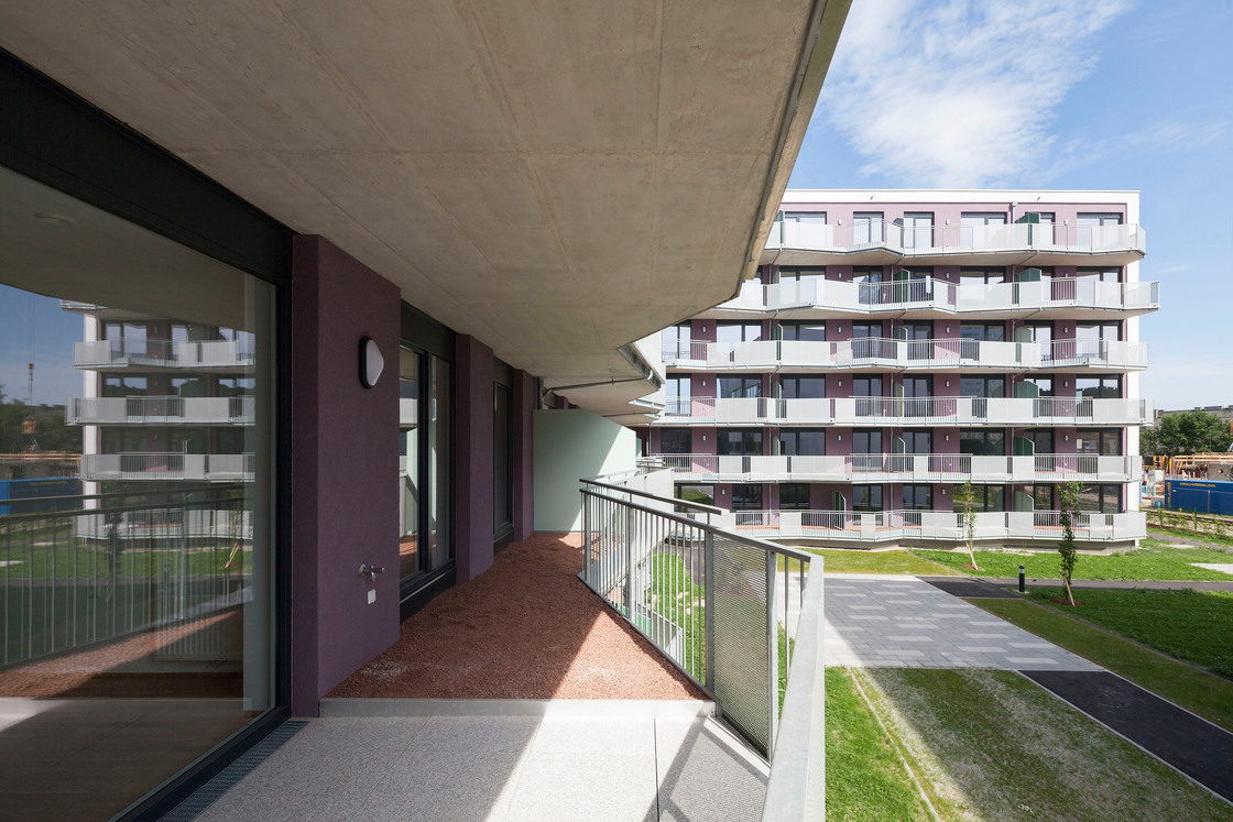 Ein Foto von Rupert Steiner