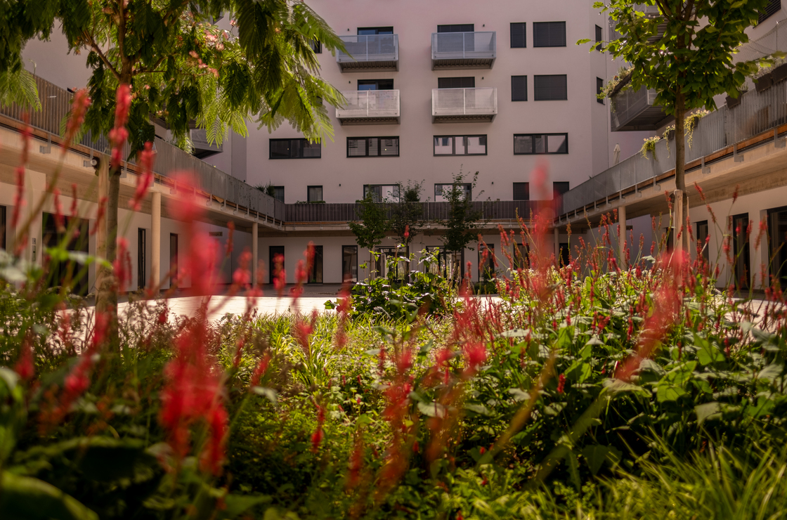 Ein Foto von Marion Müller