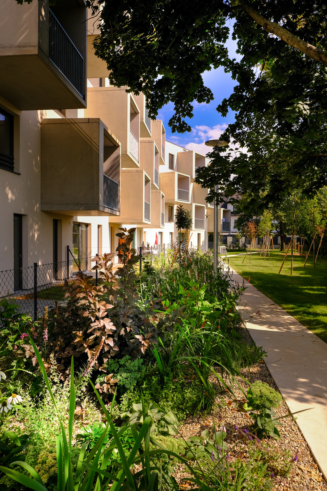 Ein Foto von Marion Müller