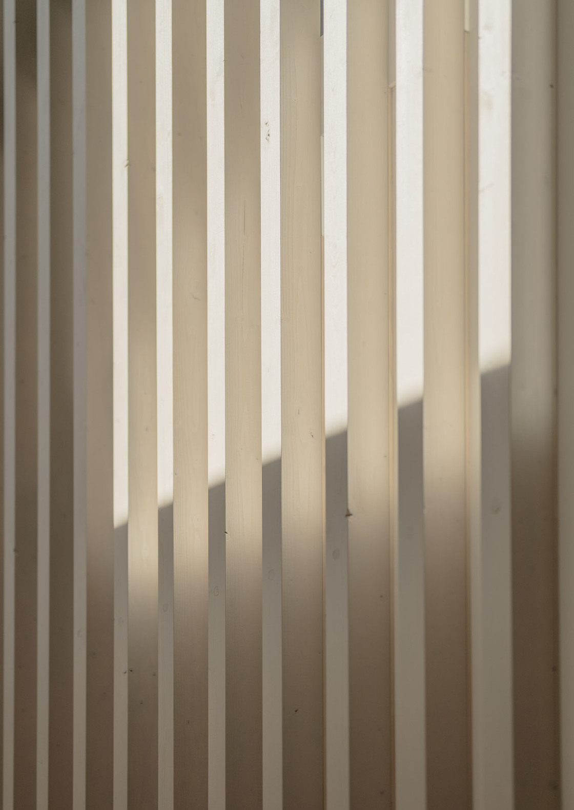 Ein Foto von Michael Nagl