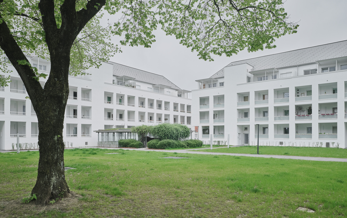 Ein Foto von David Schreyer